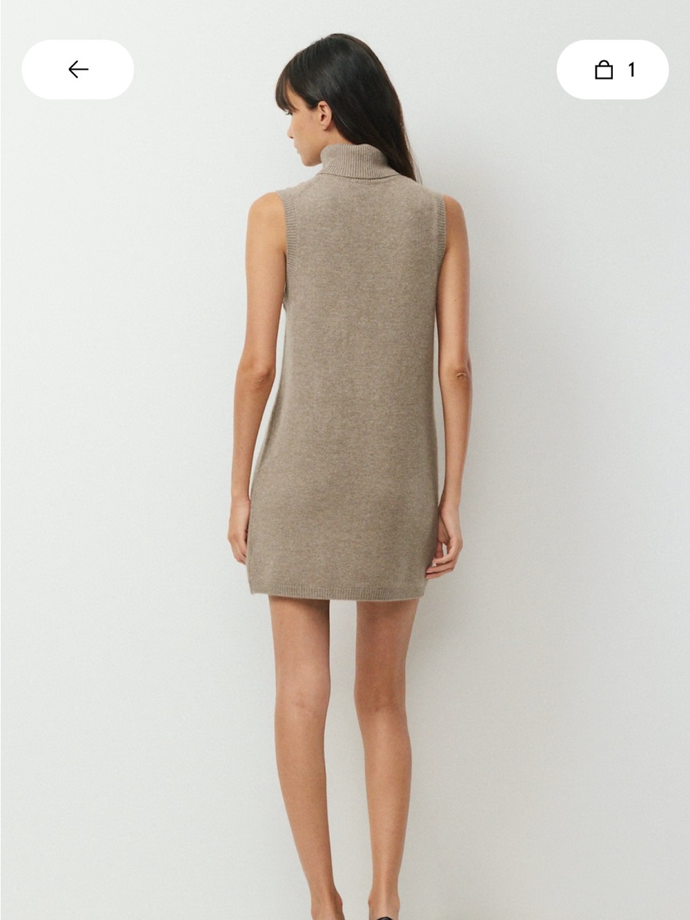 Essential Wool-Cashmere Sleeveless Mini Dress in Taupe (aritzia outline dress)